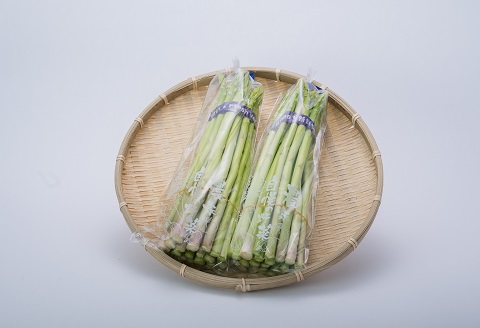 たけだファーム産地直送グリーンアスパラガス 2Lサイズ1kg：B018-062