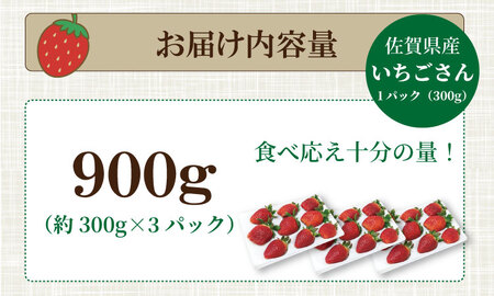 【先行予約令和8年2月配送開始】いちごさん 3箱セット（合計 900g） 苺 フルーツ 果物 いちご B100-028
