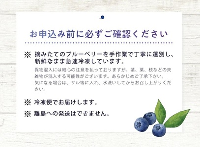 1177BB2000G　冷凍ブルーベリー2.0kg(500g×4袋)