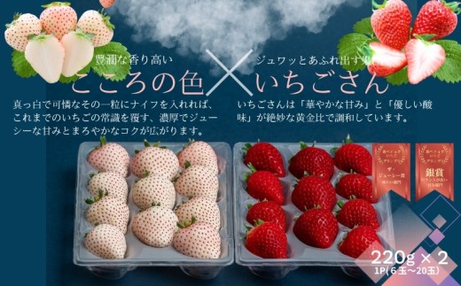【先行受付！2027年1月から発送開始】佐賀県産いちご　こころの色&いちごさん　紅白セット：B140-132