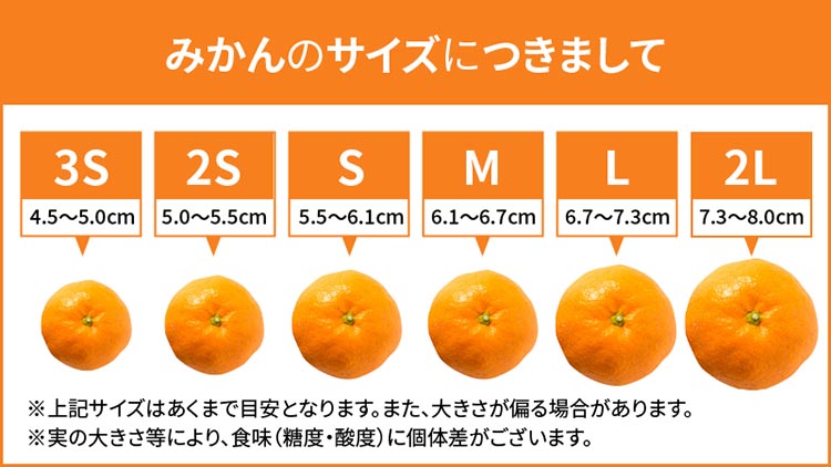 和歌山 湯浅町産 田村みかん 5kg【Sサイズ】 ※2025年11月中旬～2026年1月中旬頃に順次発送予定