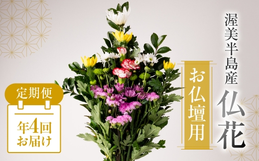 【定期便　年12回】産地直送 《お仏壇用》 仏花 日時指定可 生産額 日本一 田原市 渥美半島 月命日 お彼岸 お盆 年末 鮮度 生花 お花 定期便 お墓まいり