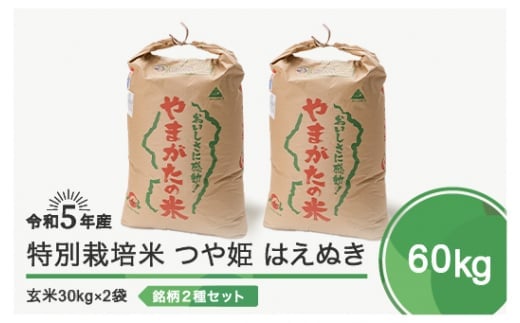 
令和5年産 米 つや姫 はえぬき 各30kg 計60kg 大石田町産特別栽培米 玄米
