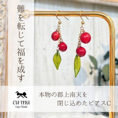 ふるさと納税 郡上市 本物の郡上南天を閉じ込めたピアスC