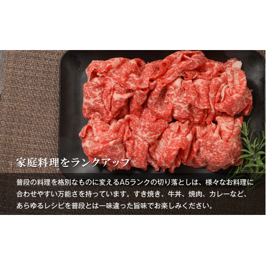 【定期便6ヶ月】【A5ランク限定】淡路島産黒毛和牛 切り落とし 500g【神戸ビーフ】　　[定期便 切り落とし 神戸ビーフ 牛肉 定期便 切り落とし 神戸ビーフ]_イメージ3