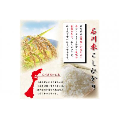ふるさと納税 宝達志水町 米 令和6年 石川米こしひかり【穂立】30kg(10kg×3袋) [中橋商事 38601200] |  | 01
