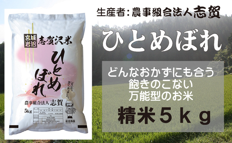 【令和7年産新米】宮城県岩沼市産　志賀沢米　ひとめぼれ　精米5kg お米 宮城県産 