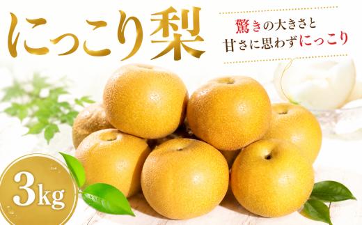 【先行予約】 梨 にっこり 3kg なし ナシ 梨 果物 くだもの フルーツ デザート 新鮮 果肉 果汁 fruit nasi ふるうつ ふるーつ 梨 3キロ ナシ フルーツ 旬 にっこり梨 ナシ 甘い みずみずしい 2026年産 特産品 産地直送 農家直送 お取り寄せ たけうち農園 茨城県 筑西市 関東