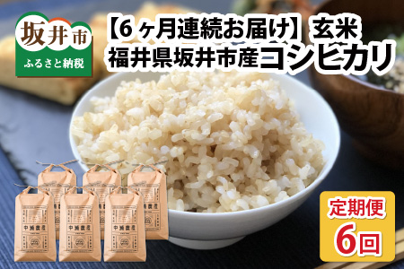 【令和7年産・新米先行予約】【6ヶ月定期便】 コシヒカリ5kg×6回　合計30kg（玄米）【2025年10月より順次発送予定】【米定期便 玄米定期便 回数定期便 こめ定期便 5キロ定期便 定期便】 [I-11302_02]