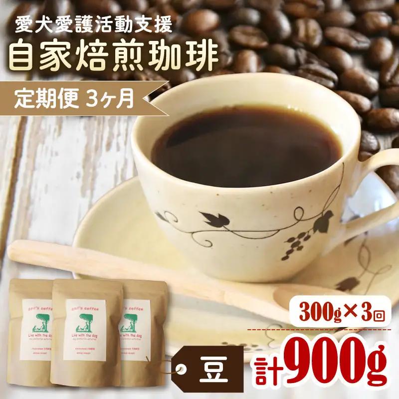 コーヒー豆 【定期便3か月】ann's cafe 100g×3種 コーヒー豆