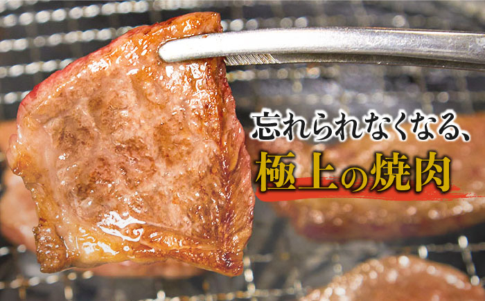 【希少部位で焼肉を堪能！】佐賀牛希少部位おまかせ4種バラエティセット800g（4種×200g）【ミートフーズ華松】 [FAY041]