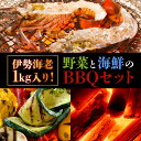 【ふるさと納税】 東洋町野菜海鮮BBQセット＜伊勢海老1kg +野菜5品前後+上土佐備長炭5kg＞ 国産 東洋町産 バーベキュー セット 四国 家庭用 自宅用 おうち時間 送料無料 セット商品 S155