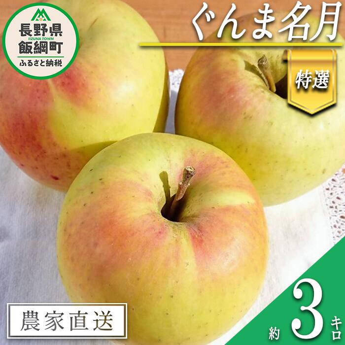 【ふるさと納税】 りんご ぐんま名月 特選 3kg やまじゅうファーム 沖縄県への配送不可 令和7年度収穫分 信州の環境にやさしい農産物 減農薬栽培 長野県 飯綱町 【 信州 果物 フルーツ リンゴ 林檎 長野 15000円 】発送時期：2025年11月下旬〜2025年12月上旬{***}