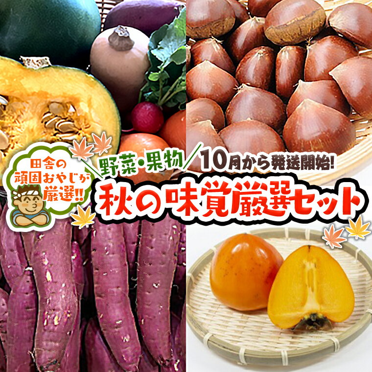 【ふるさと納税】秋の味覚（野菜・果物）厳選セット【10月より発送開始】田舎の頑固おやじが厳選！