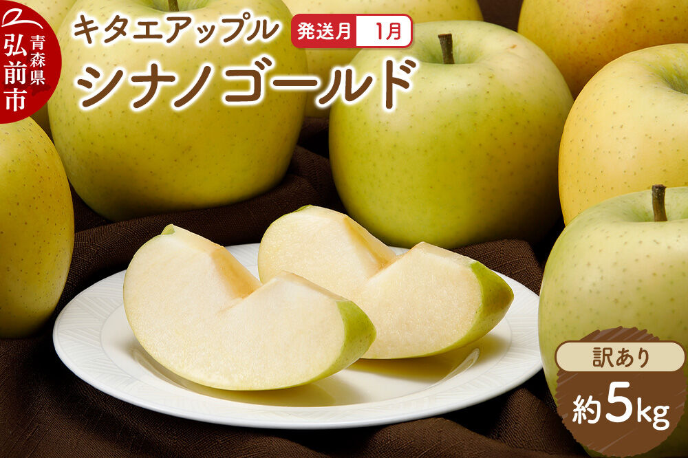 【27年1月発送】りんご シナノゴールド【訳あり】約5kg キタエアップル 先行受付 家庭用 青森県 弘前市 果物 フルーツ 林檎 リンゴ くだもの 不揃い 規格外 青森県 弘前市 [先行予約 産地直