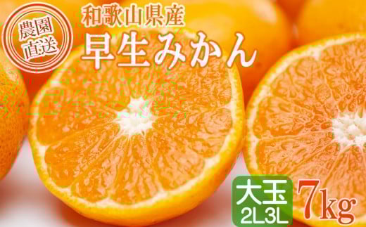 早生みかん 約7kg 大玉 2L・3Lサイズおまかせ 《ご家庭用》 和歌山県産 農園直送 まごころ産直みかん 【北海道・沖縄県・一部離島 配送不可】大きい 蜜柑 温州みかん ちょっと訳あり　わけあり 訳アリ ［Mg50］