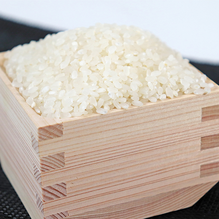 AK-8b 【3か月定期便】岐阜ハツシモ（約5kg×3回）