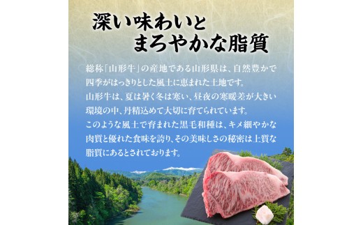 山形牛シャトーブリアン 金塊ブロック 450g  【肉の小林】