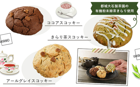 witty coffee☆スコッキー_LD-L403_(都城市) 桃太郎卵 クッキー×スコーン ハイブリッドスイーツ やみつき コーヒー お茶 大石製茶園 有機粉末緑茶きらり WITTY COFFEE