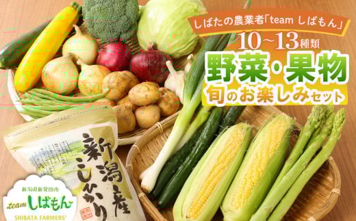 【期間限定】新潟産 野菜 コシヒカリ お楽しみセット 10~13種類 詰め合わせ ほうれん草 水菜 アスパラガス トマト オクラ ぶどう もも さといも オータムポエム りんご にんじん 大根 リーフレタス 米 コシヒカリ みそ にんにく辛みそ ジャム 新潟 新発田 C16_01