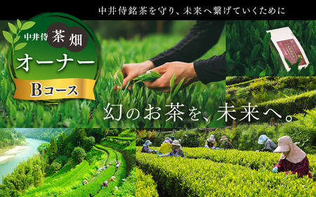 「未来の子供たちにこの美しい風景を残したい！」中井侍の茶畑オーナーBコース（5・11月）計2回お届け