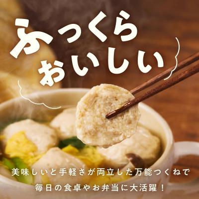 ふるさと納税 泉佐野市 【毎月定期便】国産鶏使用 つくね 2kg(500g×4P) 調理済/簡単調理 泉州たまねぎ入り全3回 |  | 01
