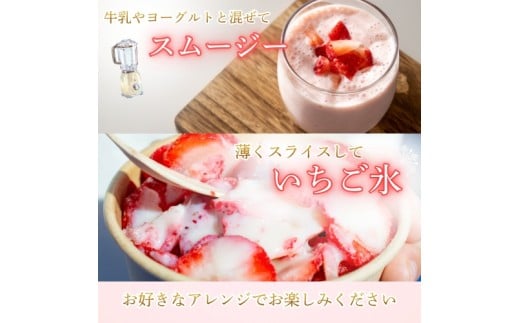 ブランド苺 冷凍 古都華 約500g [250g×2パック] 【2026年5月上旬～6月下旬に順次発送】／ 若手農家 地域応援 古都華 いちご 冷凍いちご イチゴ 苺 奈良 奈良県産いちご 葛城市 産