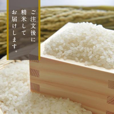 ふるさと納税 妙高市 令和6年産　新潟県妙高産こしいぶき5kg |  | 02