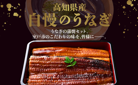 【12回定期便】ヤマジュウ厳選! 国産 ウナギ 蒲焼き 1尾(約175g～180g) タレ付き 鰻 うなぎ かば焼き 加工品 魚 魚介類 高知県産 冷凍 _ yj045