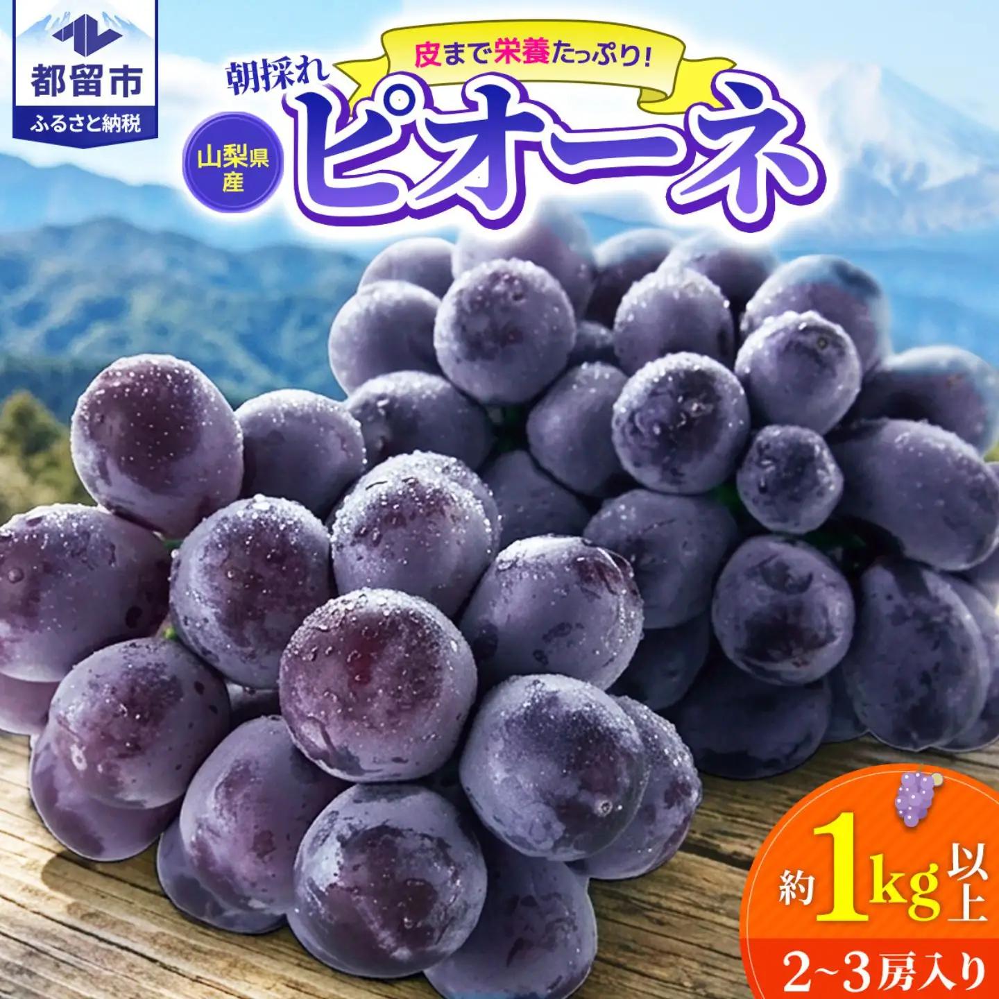 【2027年 先行予約】 山梨県 都留市産 ピオーネ  ぶどう ブドウ