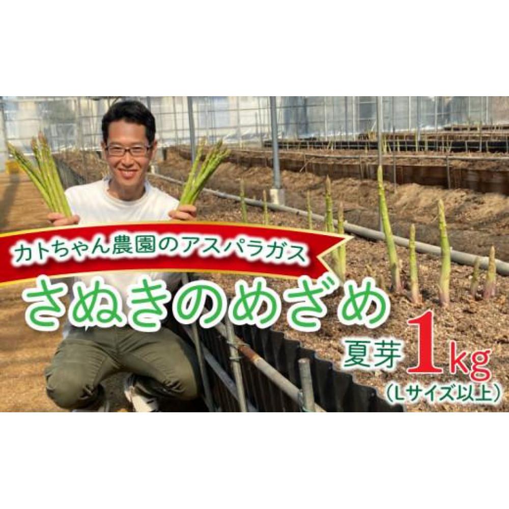 【ふるさと納税】【6月中旬頃～】アスパラガス (さぬきのめざめ) 夏芽 1kg カトちゃん農園 | 野菜 アスパラガス アスパラ グリーン お取り寄せ 送料無料 夏芽 旬 期間限定