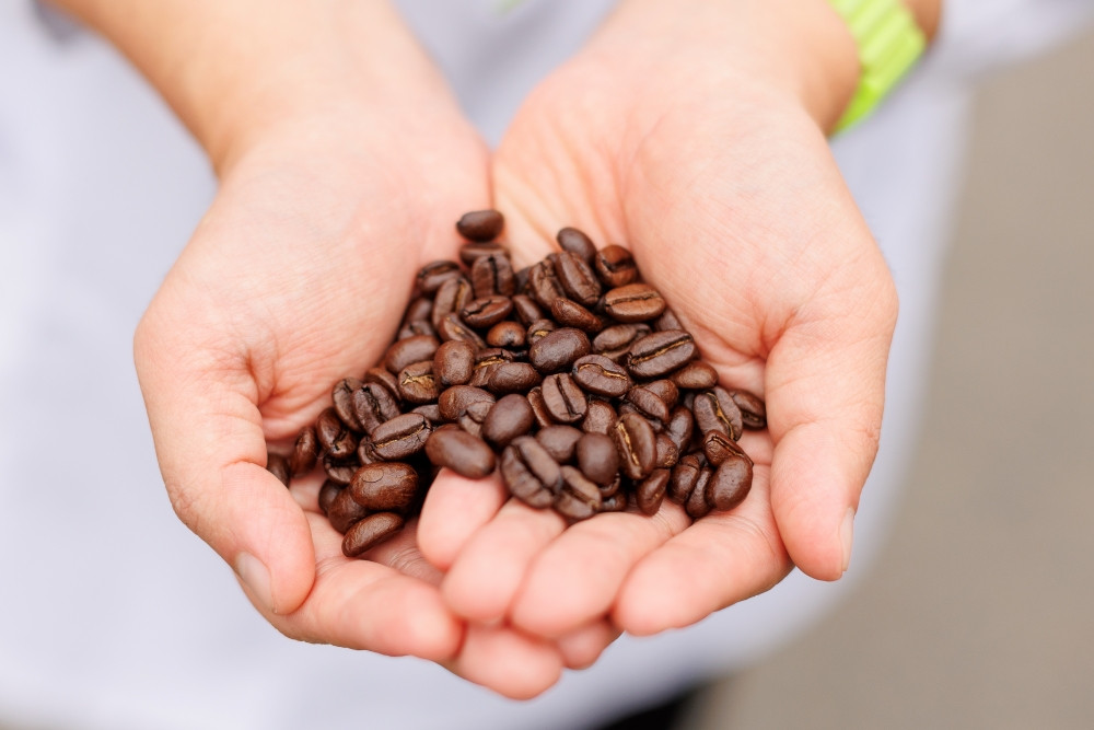 【思いやり型返礼品】自家焙煎「花巻銀河珈琲」コーヒー豆（100ｇ）7袋セット 【277】