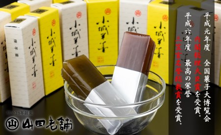 お手軽に！ふたくちサイズのミニ羊羹セット（50g×18本） 山田老舗 A095-004