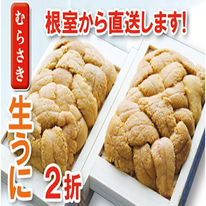 【ふるさと納税】 ムラサキウニ 100g × 2 折 うに ウニ 雲丹 ムラサキうに むらさきうに 紫うに 紫ウニ 紫雲丹 ウニ丼 うに丼 雲丹丼 刺身 お取り寄せ グルメ 海鮮 北海道 根室市 ふるさと納税 B-71021