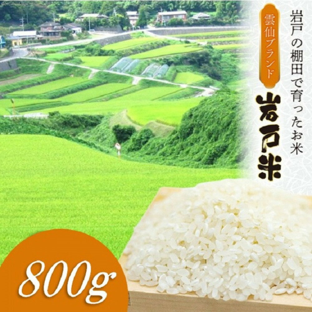 【ふるさと納税】雲仙ブランド認定商品　「岩戸米」白米　800g