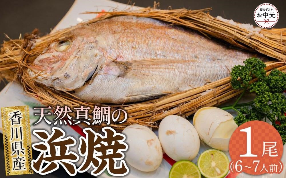 
            【お中元ギフト】天然真鯛の浜焼1尾（6人～7人前）
          