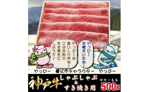神戸牛 しゃぶしゃぶ & すき焼き用 かた ・ もも肉 計500g YBS2【1677764】