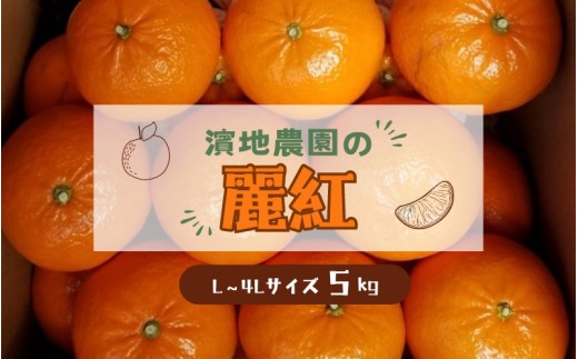 
                  L-4Lサイズ 不揃い 濵地農園の麗紅（れいこう) 約5kg(箱込み)【2027年2月初旬から3月初旬までに順次発送】 / みかん ミカン 蜜柑 れいこう 麗紅【mha003A】
                