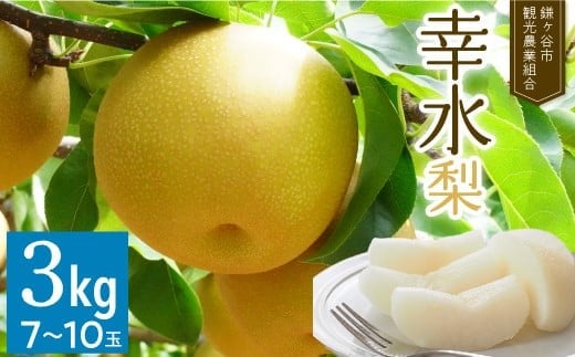 ※先行予約※【幸水3kg】かまがや育ちの完熟梨（観光組合）