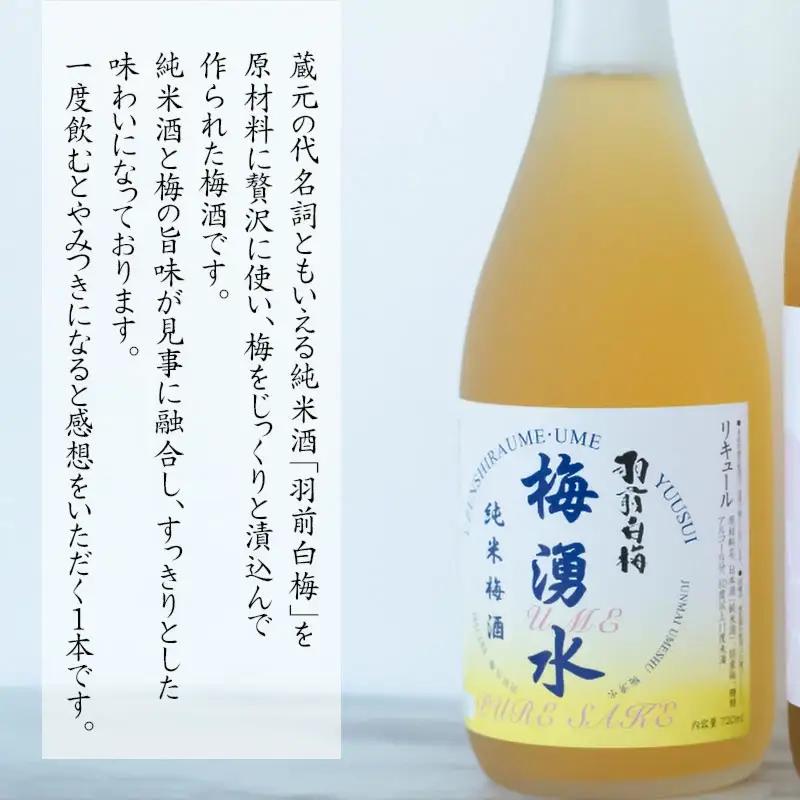 鶴岡の梅酒2本セット 佐藤屋×大山『咲くやこの花』＆羽根田酒造 羽前白梅『梅湧水』 各720ml　山形県鶴岡市 山形県酒類卸株式会社　K-843　| お酒 酒 地酒 日本酒 純米酒 純米 清酒 ご当地