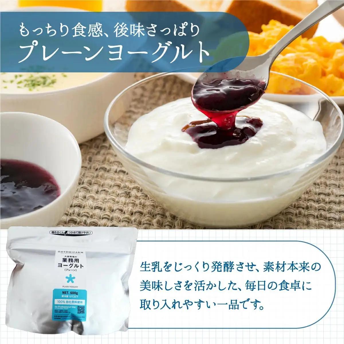 大富牧場の無添加ヨーグルト プレーンヨーグルト600g×1