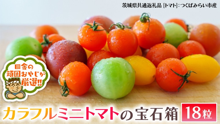 
                  カラフルミニトマト の 宝石箱 18粒 【2026年1月から発送開始】トマト ミニトマト カラフル 野菜 フルーツ（茨城県共通返礼品 [トマト]：つくばみらい市産）
                