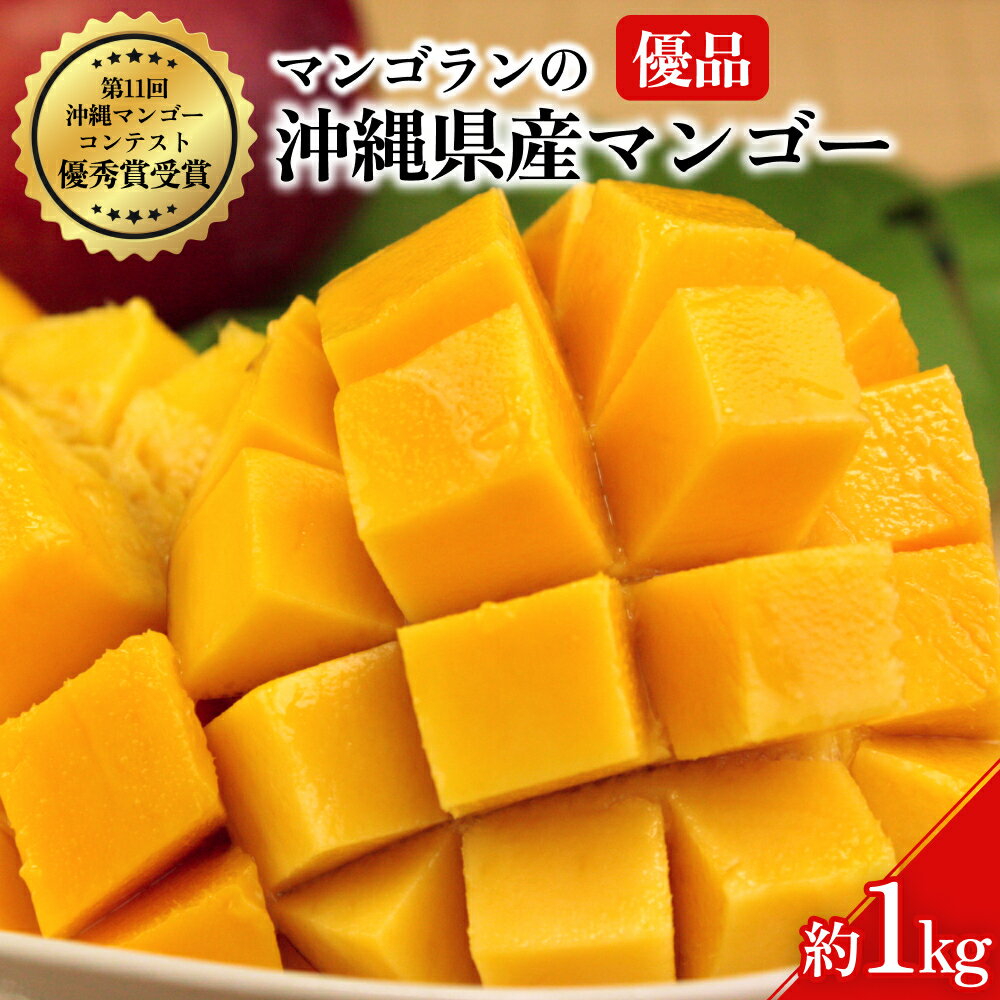 【ふるさと納税】【 先行予約 2026年発送 】高級贈答用 1kg 沖縄県産 マンゴー 1キロ 国産 完熟マンゴー 果物 南国 くだもの フルーツ 完熟 夏 旬 特産品 沖縄 取り寄せ 産地直送 農家直送 甘い 濃厚 うるま市 マンゴラン