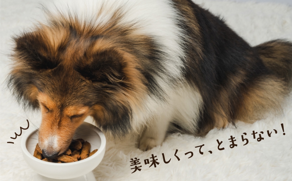 ワンちゃんのおやつ 鶏 豚 鰹 MIX ４袋 ドッグフード 犬 おやつ 無添加 グルテンフリー 国産