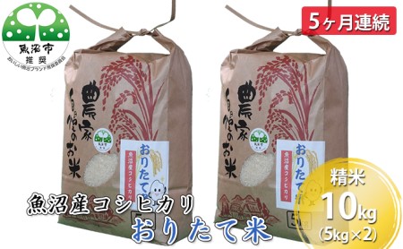 【定期便】魚沼産コシヒカリ おりたて米 精米10kg（5kg×2）5ヶ月連続 お米 5回 