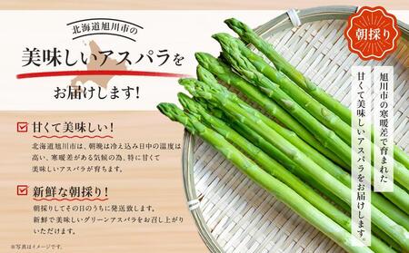 【先行予約】朝採りグリーンアスパラL500ｇ（2025年5月下旬から順次発送予定） 【 アスパラ アスパラガス グリーンアスパラ 朝採り 直送 産地直送 旬 春 北海道 とれたて お取り寄せ 冷蔵配送