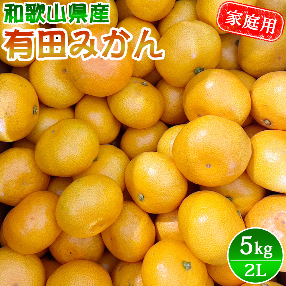 
家庭用 有田みかん 2Lサイズ 5kg【2023年10月上旬～2024年1月下旬頃に順次発送予定】/ みかん フルーツ 果物 くだもの 有田みかん 蜜柑 柑橘【ktn011】
