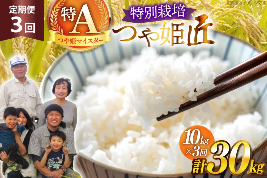 
                  米 定期便 3回 令和7年産 厳選米 匠 特別栽培米 つや姫 10kg 計30kg [金子農園 山形県 高畠町 tk06ays950035] 精米 白米 米 お米 ブランド米 ごはん ご飯
                