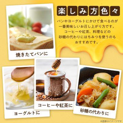 ふるさと納税 大牟田市 坂井養蜂場　みつばちの雫　500g+300g(合計800g)国産蜂蜜 |  | 03