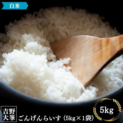 ふるさと納税 吉野町 【令和7年産先行受付】吉野大峯ごんげんらいす5kg×1袋